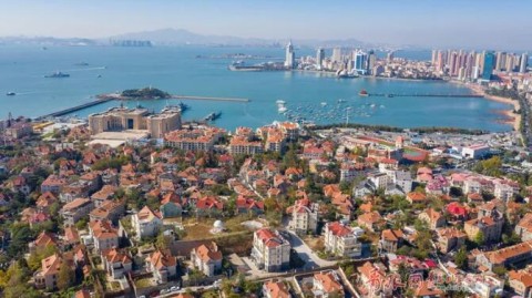 命运分野：青岛海牛斩首胜告别垫底区，深圳新鹏城两连胜直逼前四